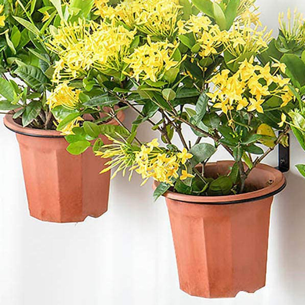 2 X 10cm Wall Mounted Plant Pot Loop Hanging Flower Pot Holder Plant Rack