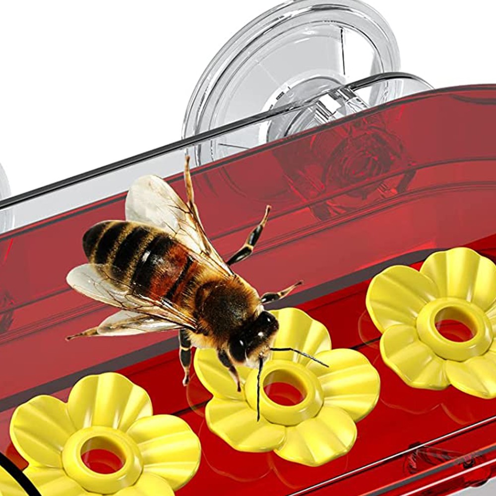 1 X Window Hummingbird Waterer with Suction Cup Plastic Bird Watching Waterer