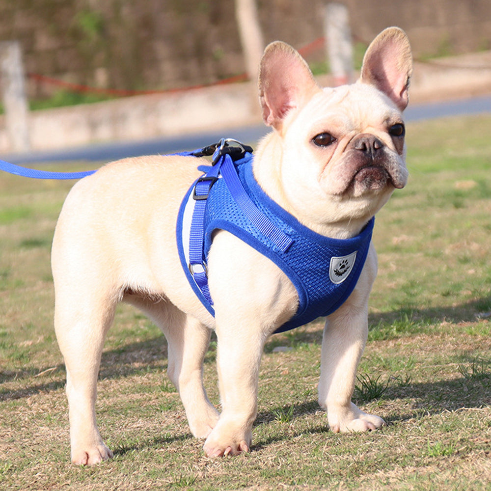 S Size Pet Dog Adjustable Harness Lead Leash Dog Reflective Harness Cat Lead Leash Dog Vest Blue