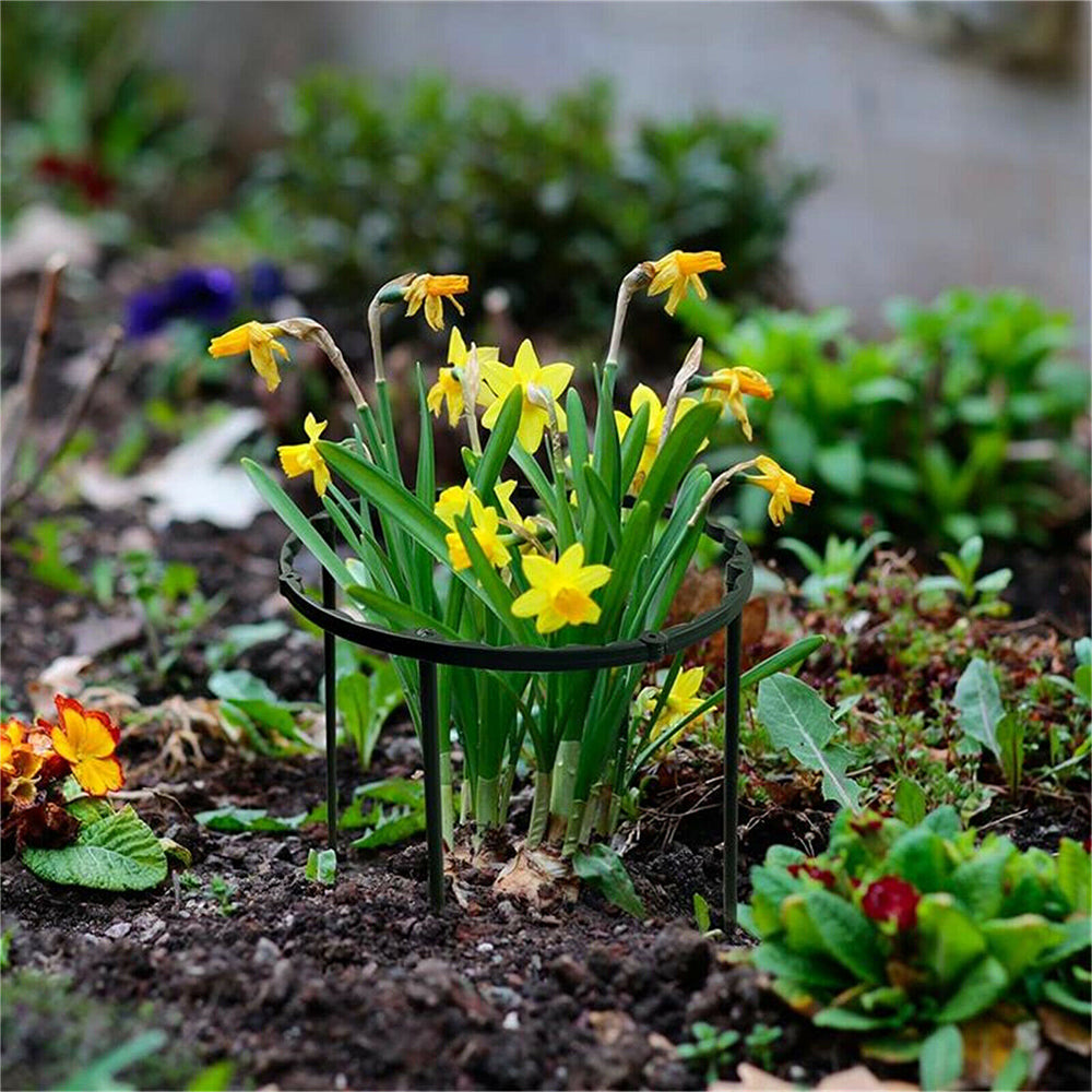 4 Sets of 15cm Climbing Plant Support Stakes Support Rings