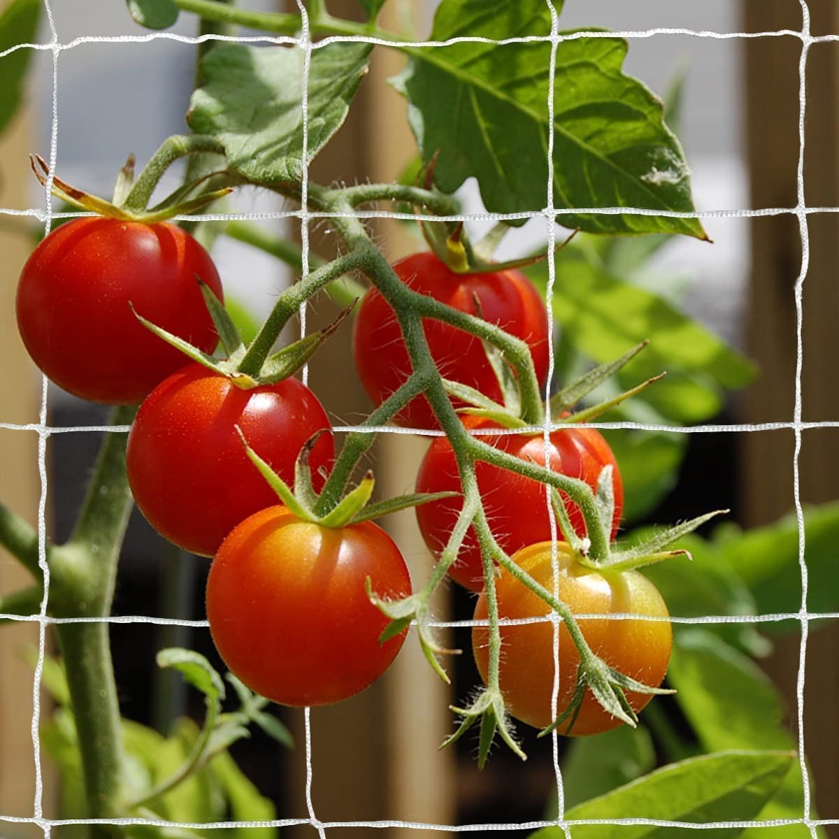 1 X 1.67x10M Garden Plant Trellis Netting for Climbing Plants Polyester Planter Grow Mesh Net