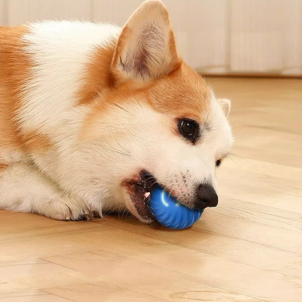 Interactive Dog Toy Automatic Moving Rolling Ball Toy for Small Dogs - Blue