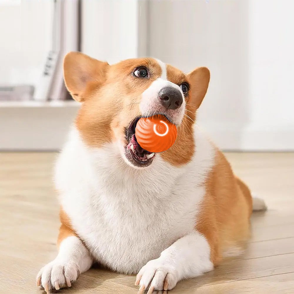 Interactive Dog Toy Automatic Moving Rolling Ball Toy for Small Dogs - Orange