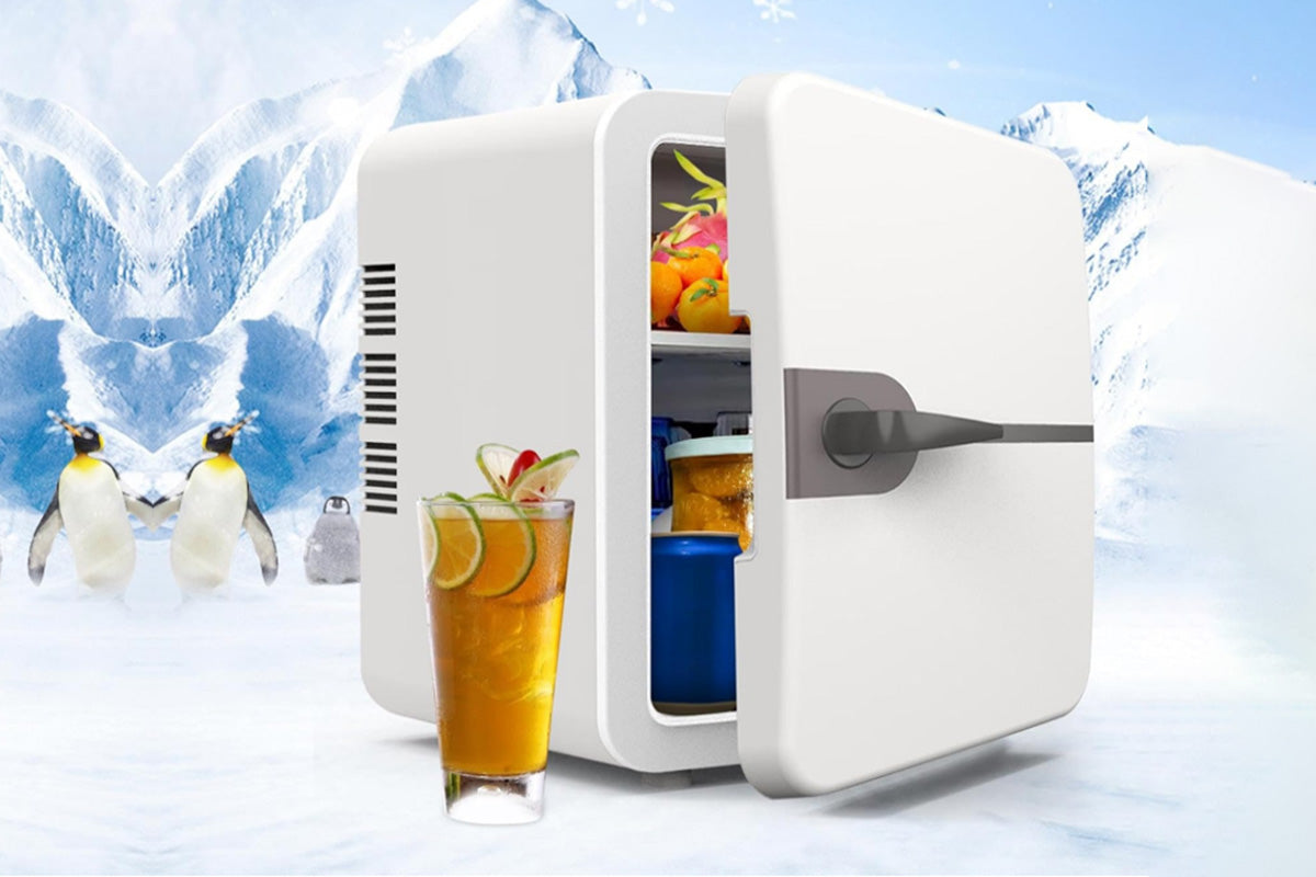 6L Mini Fridge for Drinks 12V Small Refrigerator for Home Office Dorm Car