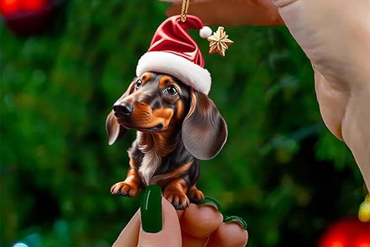 14Pcs Dachshund Dog Christmas Ornaments Xmas Tree Decor