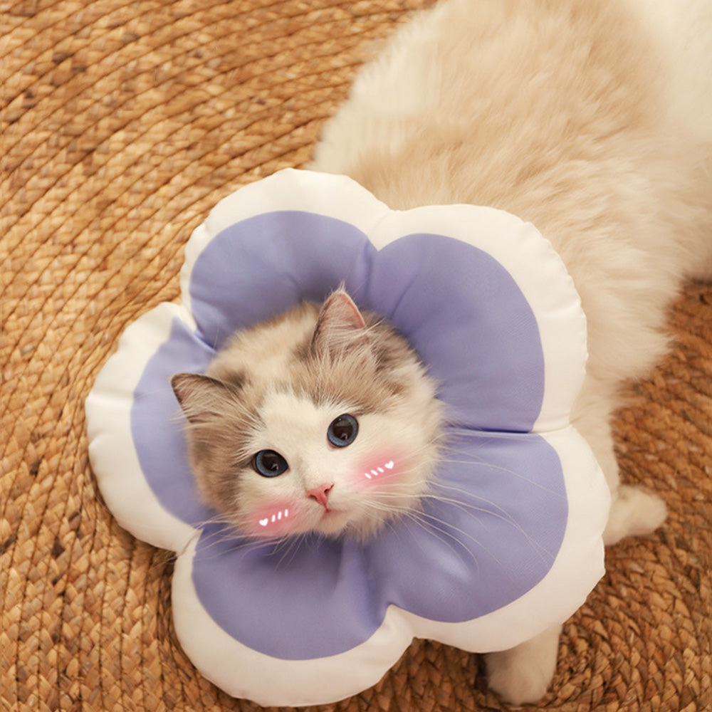 Cute Flower Cat Cone Collar