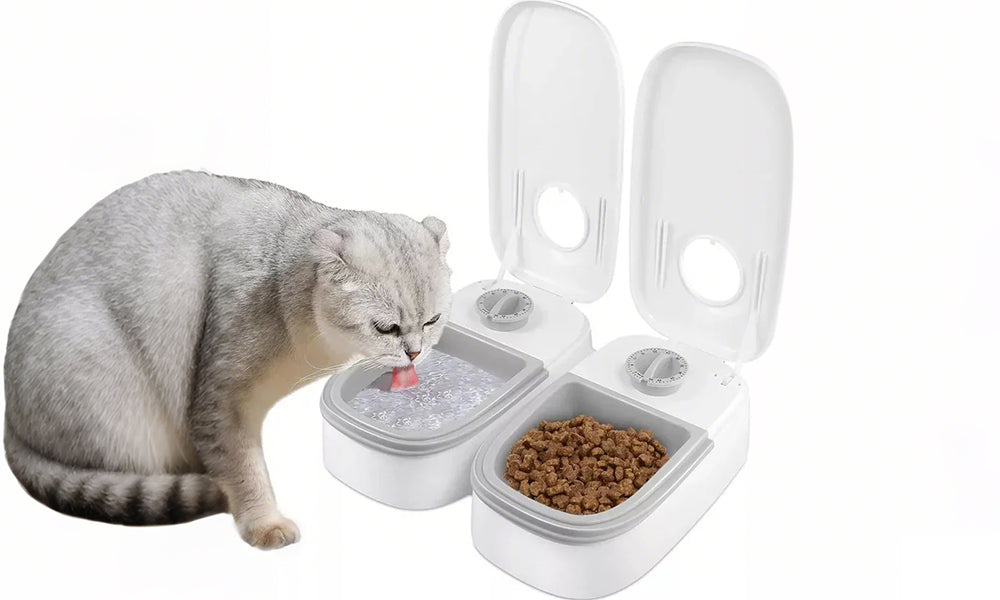 Timer Controlled Pet Feeder for Cats and Small Dogs Dry Wet Food Dispenser
