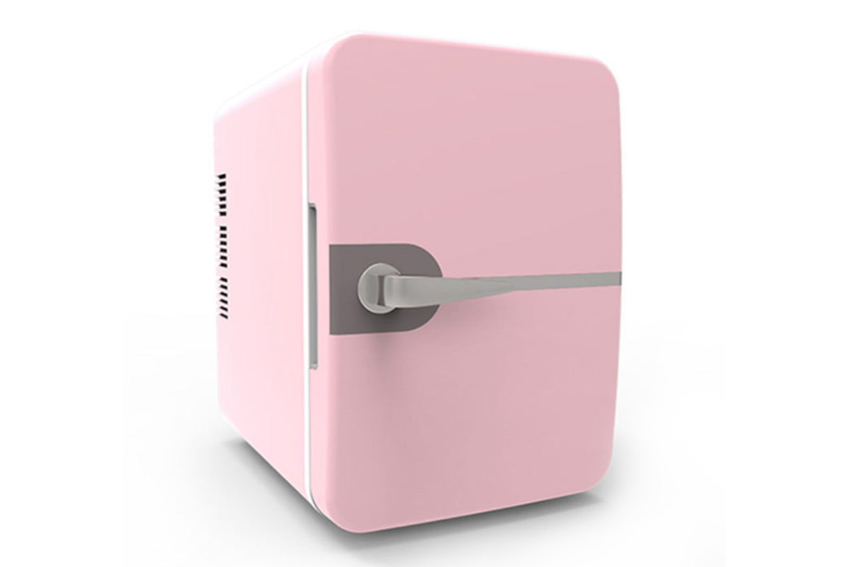 6L Mini Fridge for Drinks 12V Small Refrigerator for Home Office Dorm Car