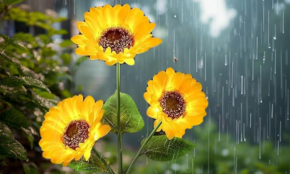 Solar Outdoor Garden Lights Sunflower and House Decorative Light