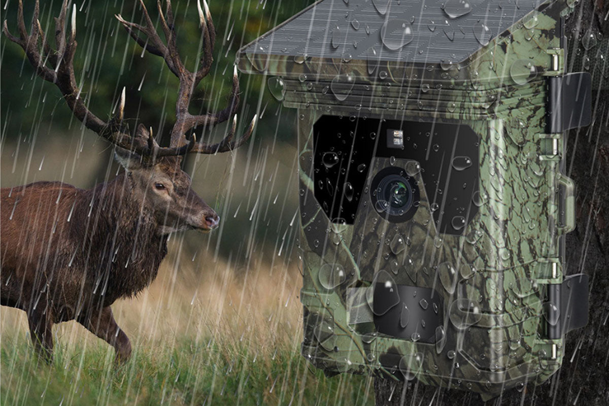 50MP Solar Night Vision Trail Camera