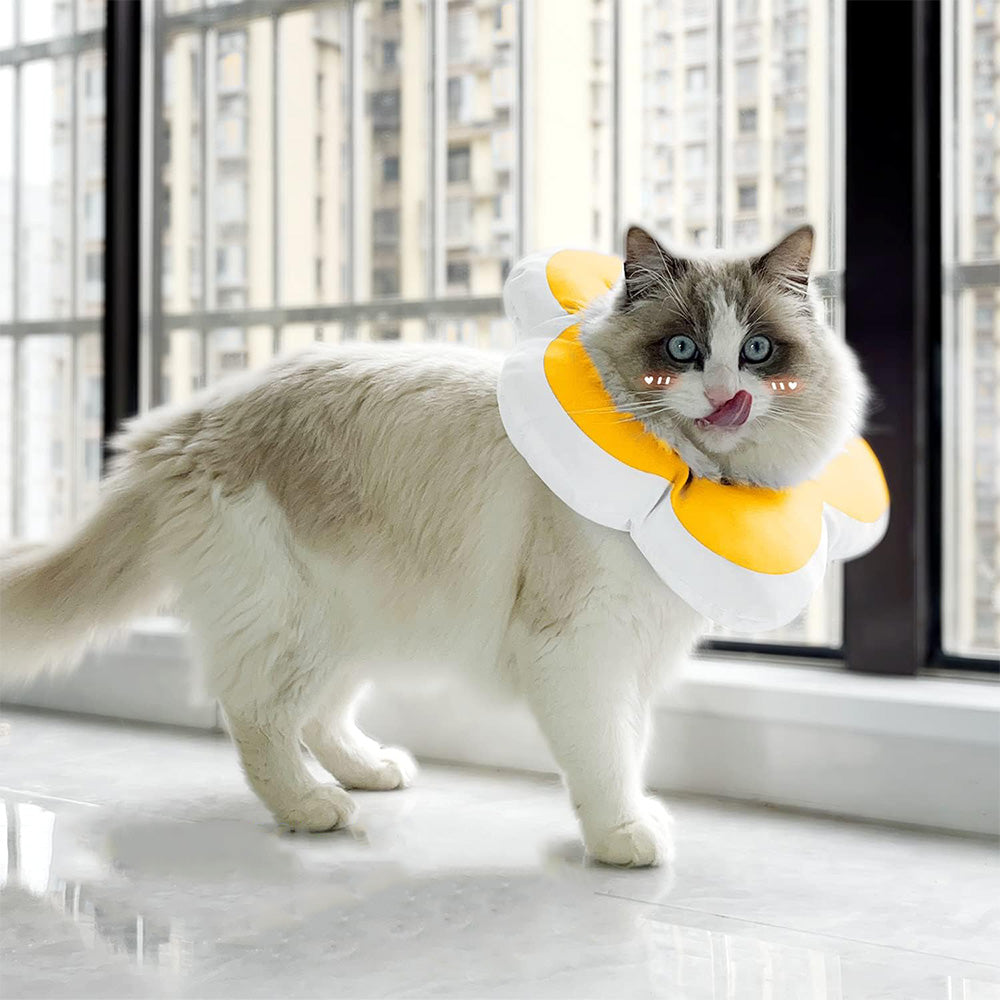 Cute Flower Cat Cone Collar