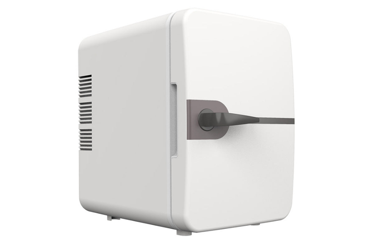6L Mini Fridge for Drinks 12V Small Refrigerator for Home Office Dorm Car