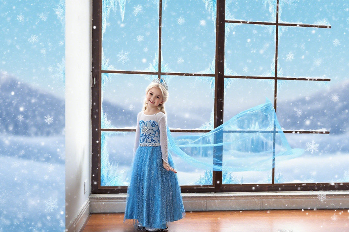 Cartoon Inspired Frozen Princess Costume – Ages 4 to 10