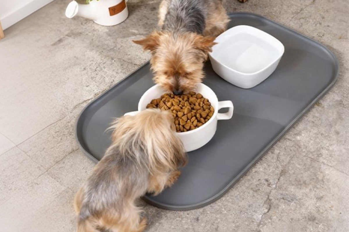 Silicone Pet Feeding Mat Raised Edge Anti-Spill Washable Non-Slip Placemat
