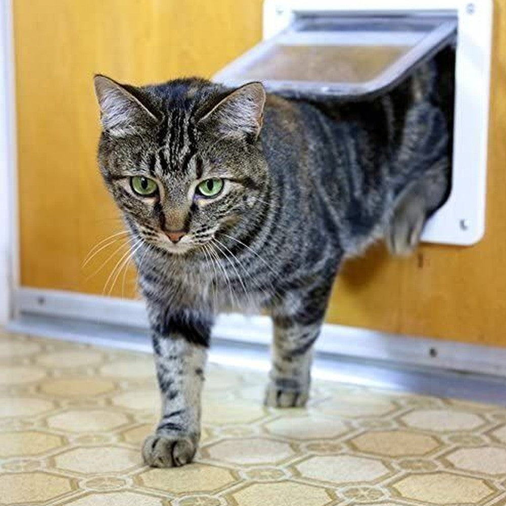 Lockable Pet Flap Door Thin Cat Flap Door with 4-Way Safe Lock - L Size