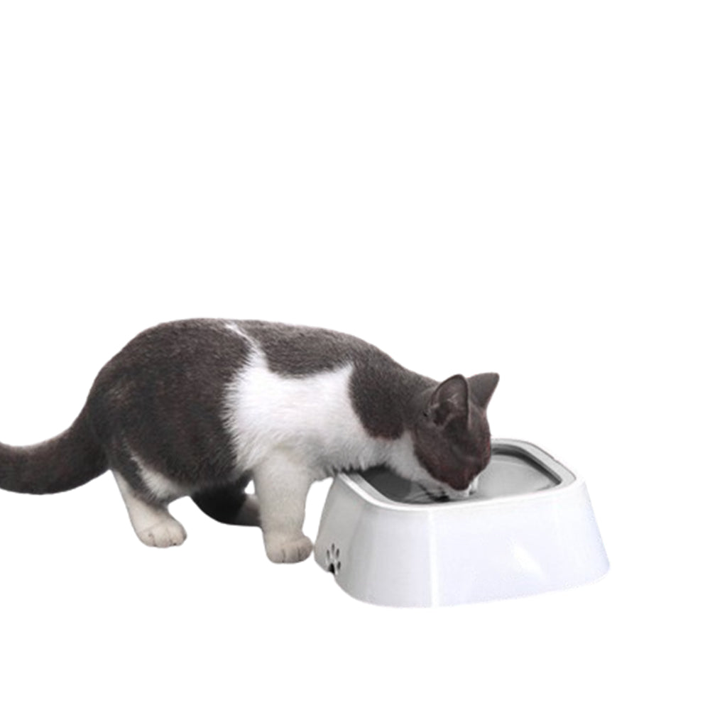 1.5L Pet Dog Cat Water Bowl No-Spill Slow Feeder Grey