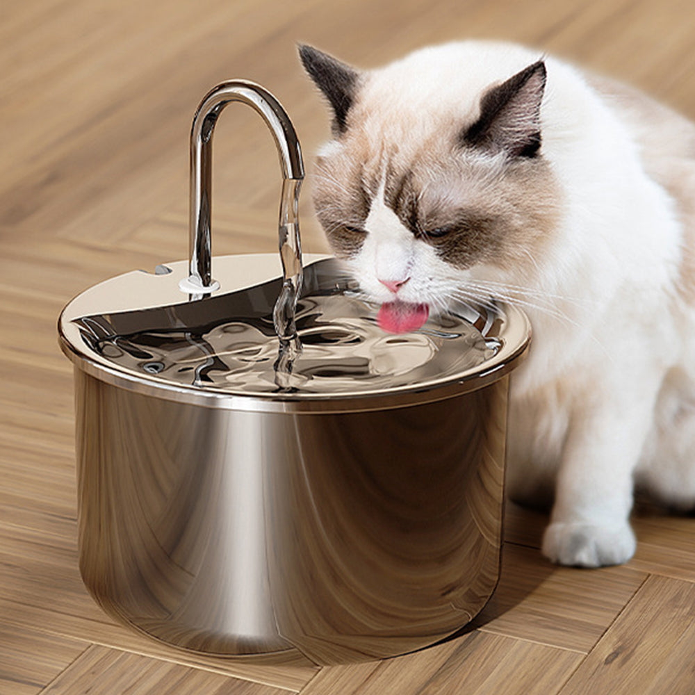 Stainless Steel Electric Pet Water Dispenser Automatic Cat Dog Water Fountain