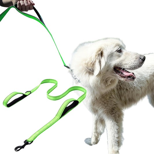 Dog Leashes Reflective Outdoor Dog Training Chain with Double Handle Green