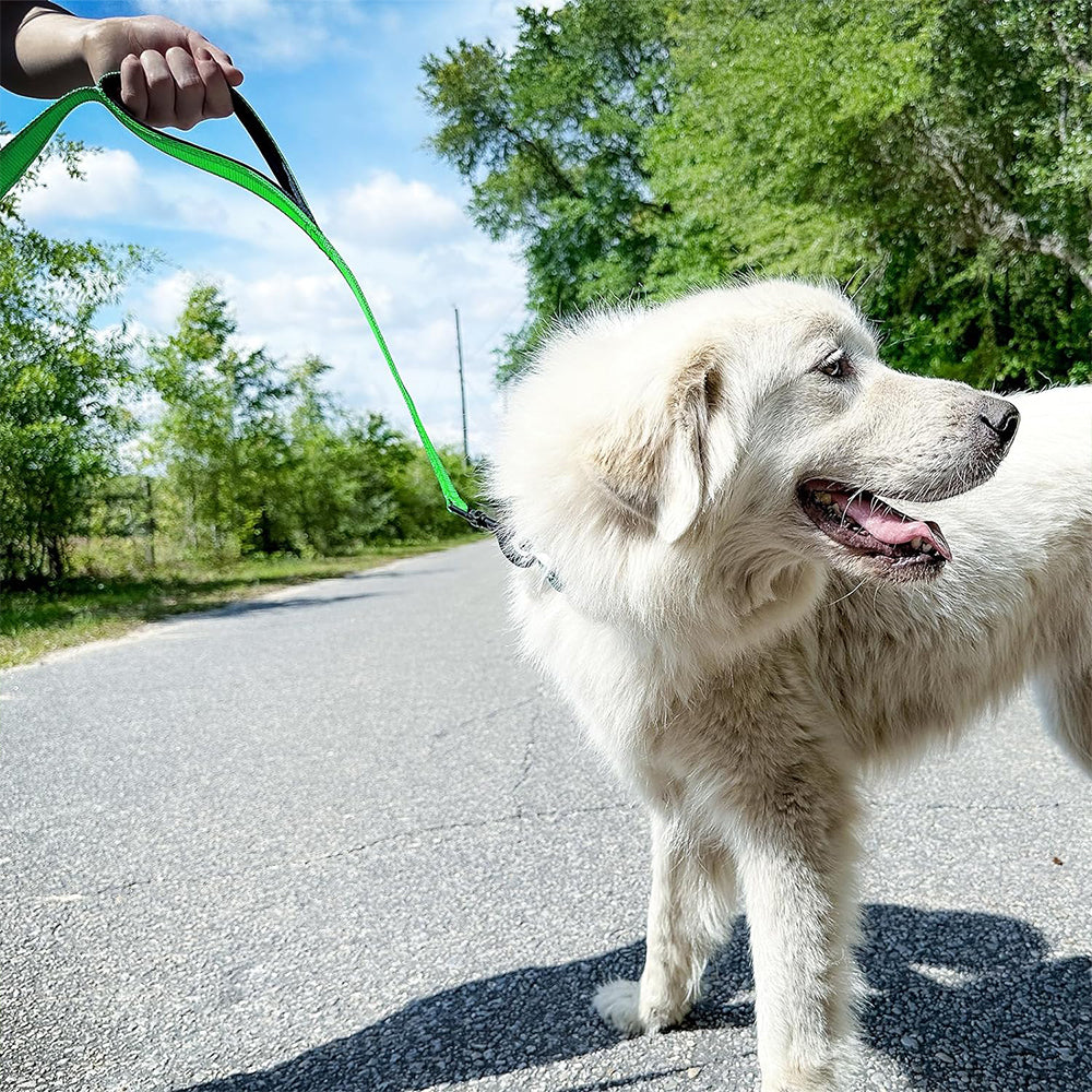 Dog Leashes Reflective Outdoor Dog Training Chain with Double Handle Green