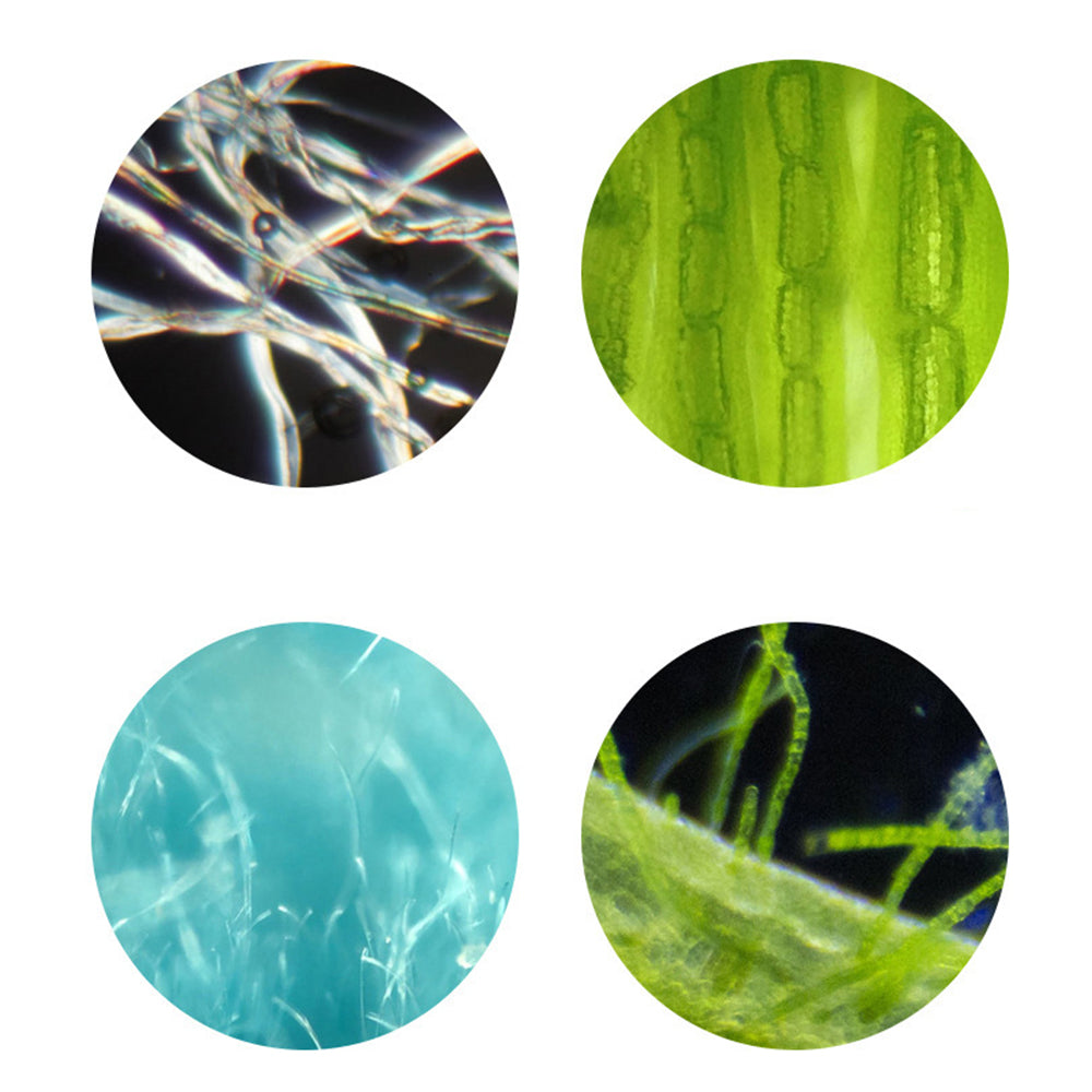 Portable Pocket Handheld Microscope Science Toy Educational Microscope Blue