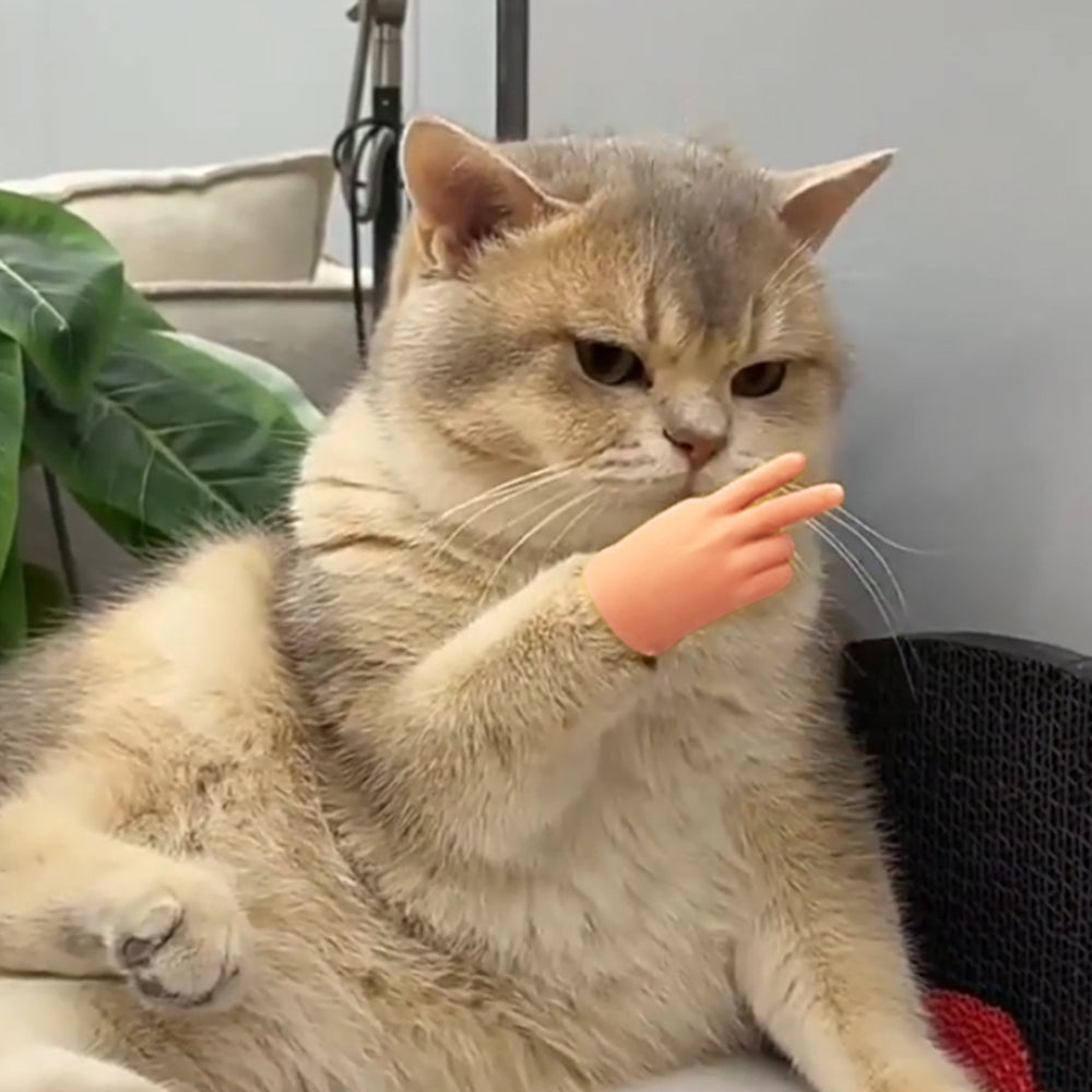 14Pcs Cat Pet Mini Hand Finger Puppet Finger Toy Tiny Finger Hand Palm Toy