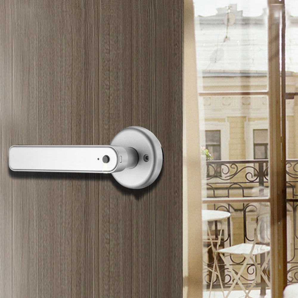 Smart Fingerprint Door Lock Electronic Handle Digital Password Key with Tuya APP