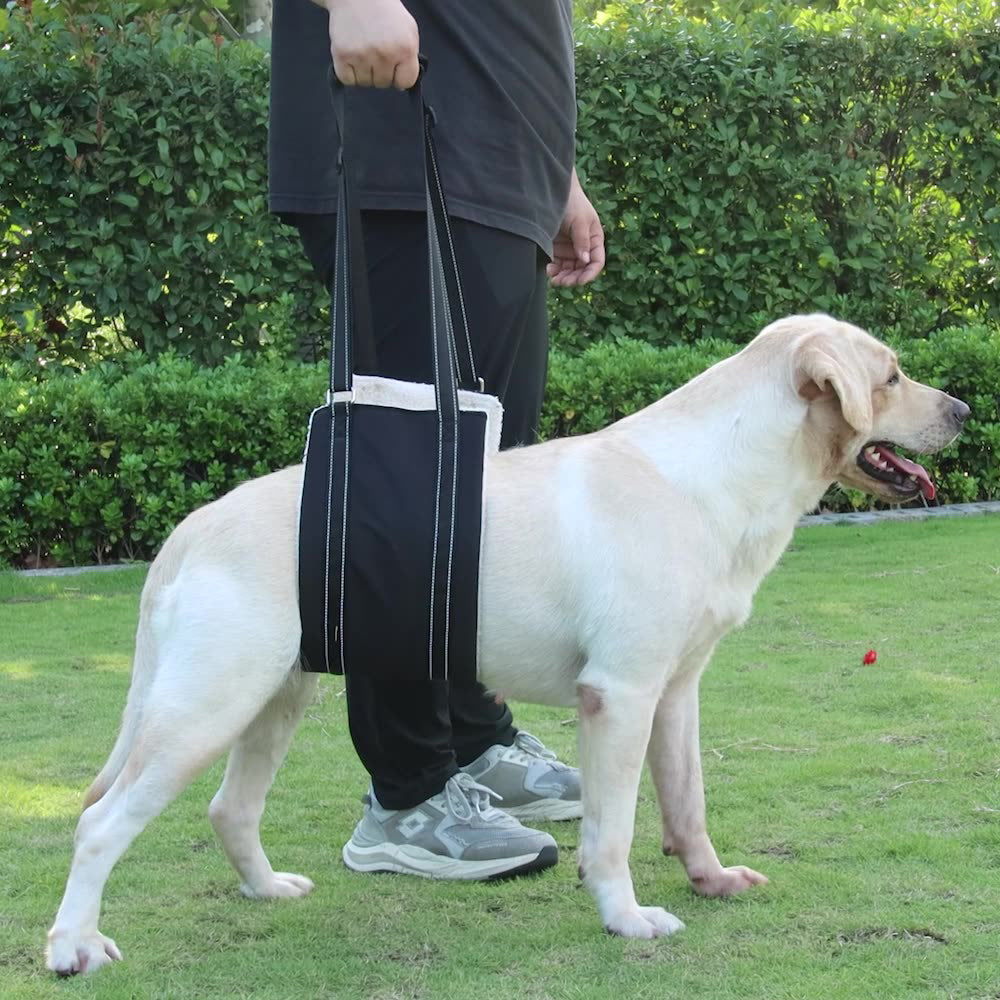 Portable Dog Sling For Back Legs Hip Support Harness Canine Aid Rehabilitation M