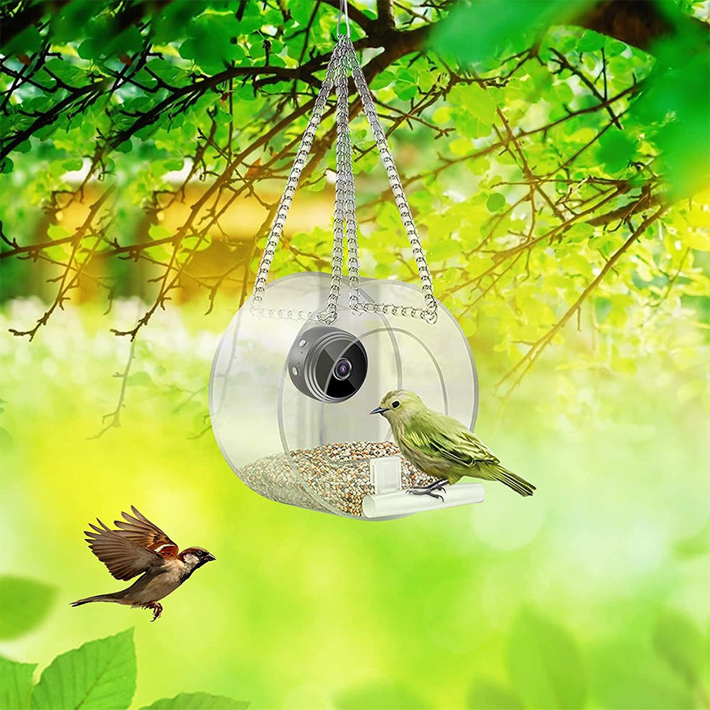 Smart Bird Feeder with Camera 1080P WiFi Auto Capture Bird Motion Detection