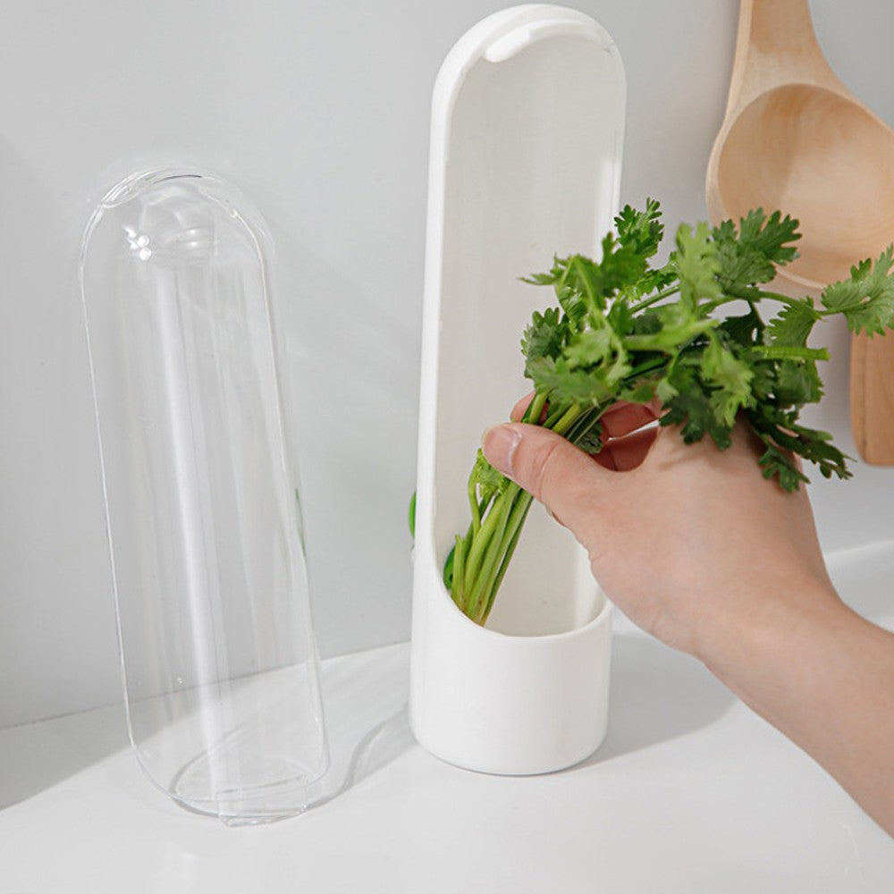 2Pcs Herb Saver for Refrigerator Herb Fresh Keeper Herbs Storage Container