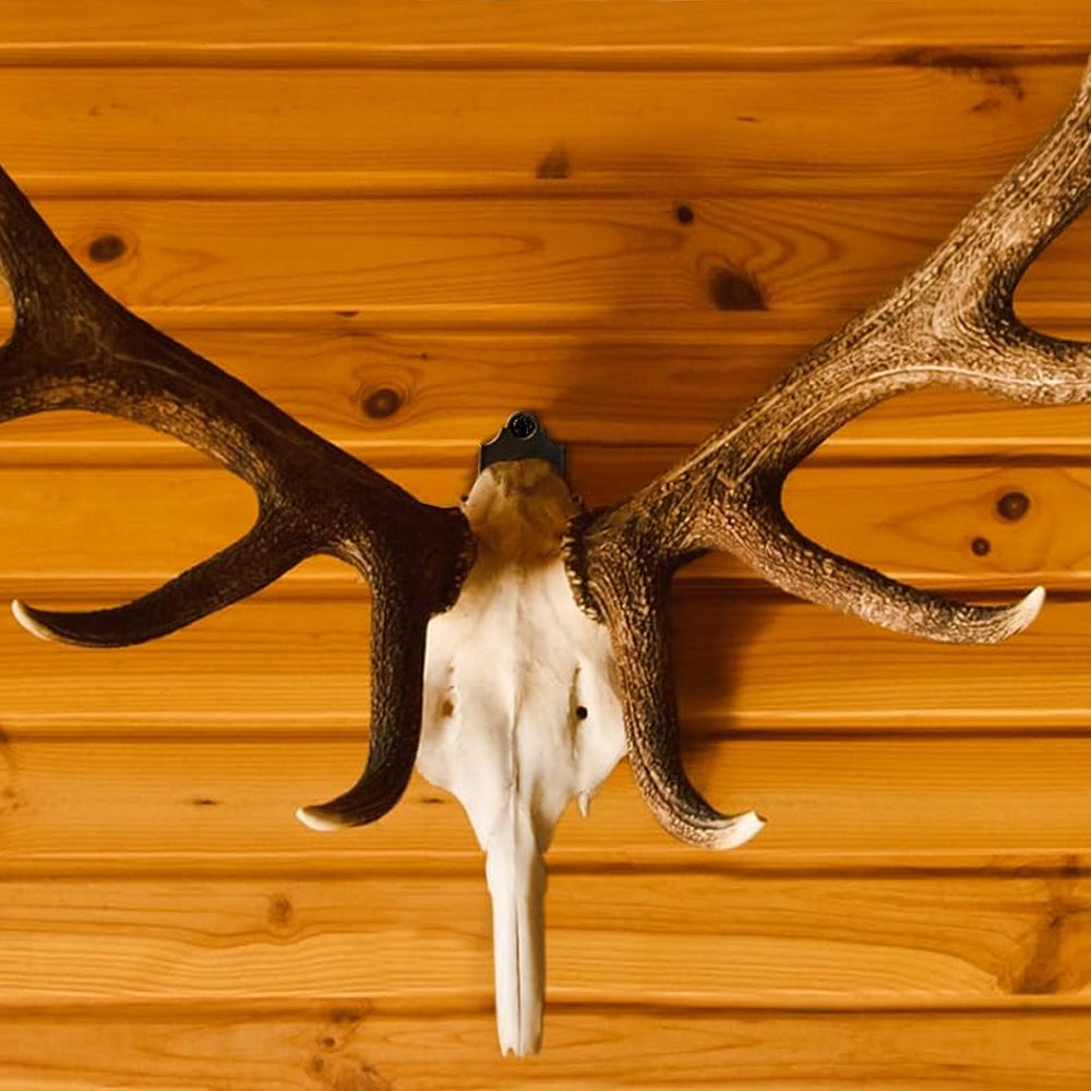 12Pcs Skull Hanger Skull Wall Mount Bracket Hangers Kit Deer Hanger