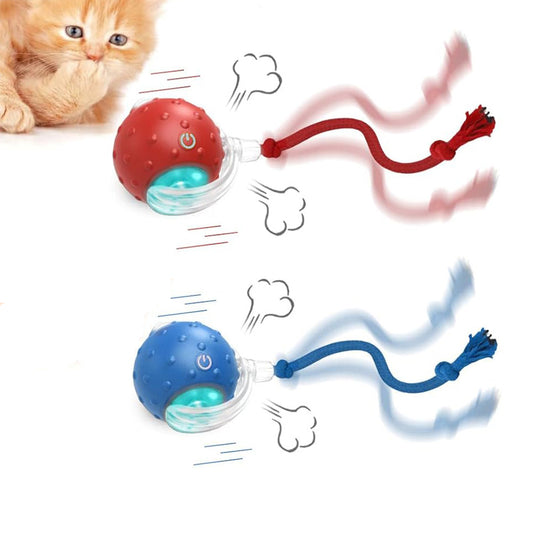Motion Activate Interactive Cat Toy Rechargeable Smart Rolling Ball with Rope