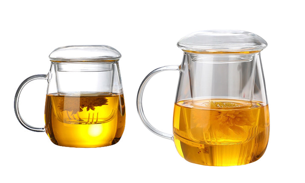 Glass Tea Cup with Infuser and Lid Borosilicate Tea Mug for Loose Leaf Tea