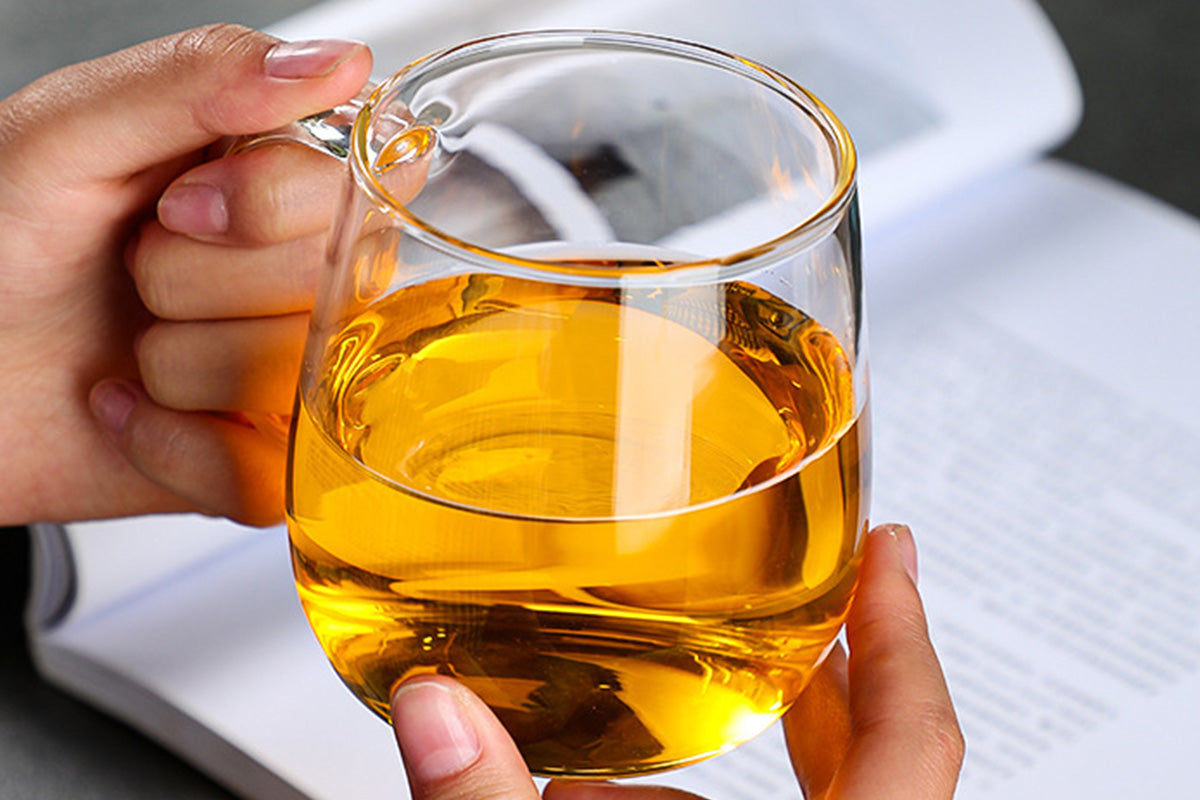 Glass Tea Cup with Infuser and Lid Borosilicate Tea Mug for Loose Leaf Tea