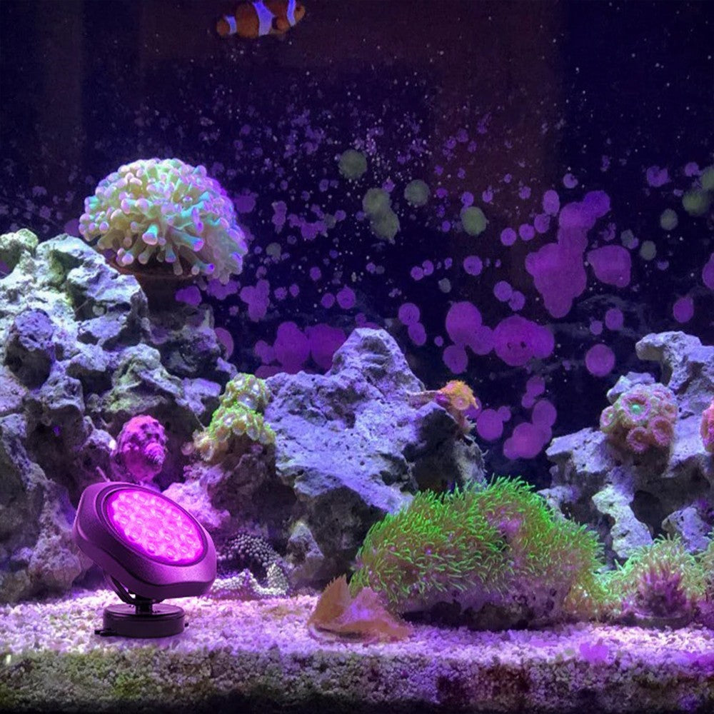 LED Solar Lights Garden Swimming Pool Spotlight Outdoor Lawn Lamp