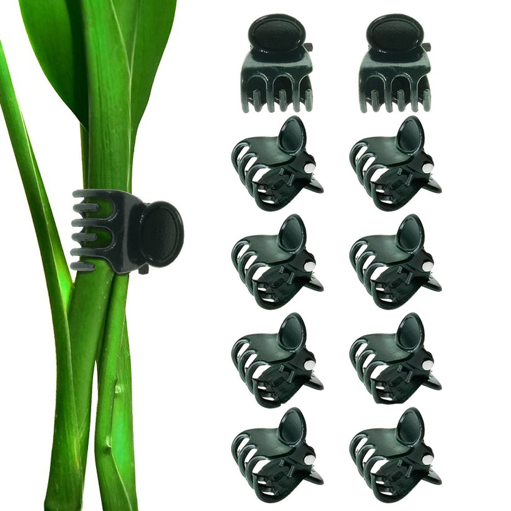 5Pcs Detachable Twig Plant Support Stakes for Indoor Plants