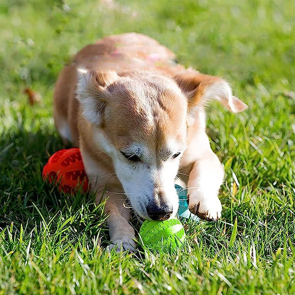 3Pcs Puppy Dog Chew Ball Toy Rubber Dental Clean Teeth Healthy Treat Gum Bite S
