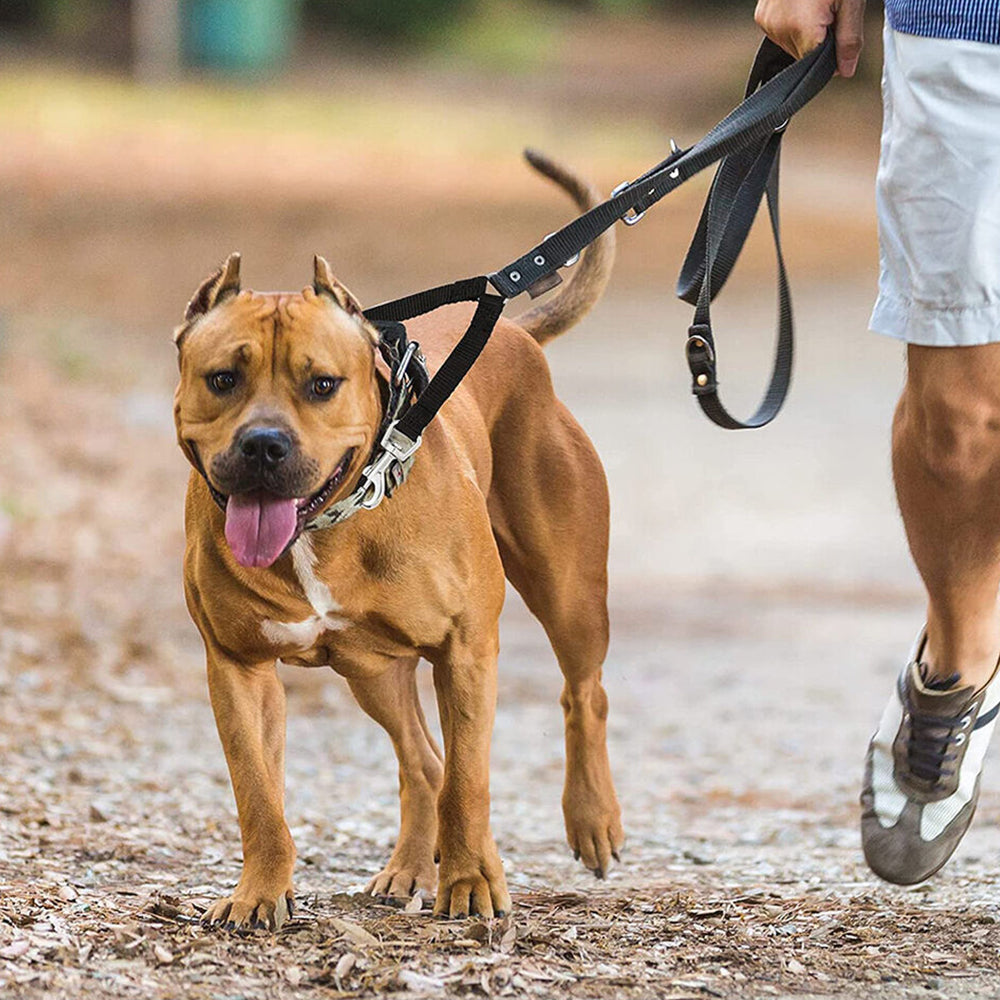 Adjustable Dual Dog Leash Lead Walk 2 Dogs with One Lead Coupler Black L