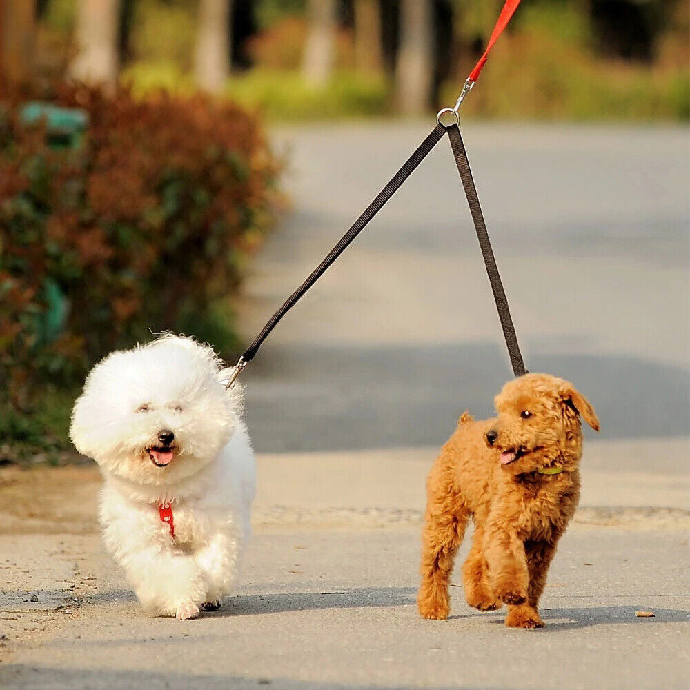 Adjustable Dual Dog Leash Lead Walk 2 Dogs with One Lead Coupler Black XL