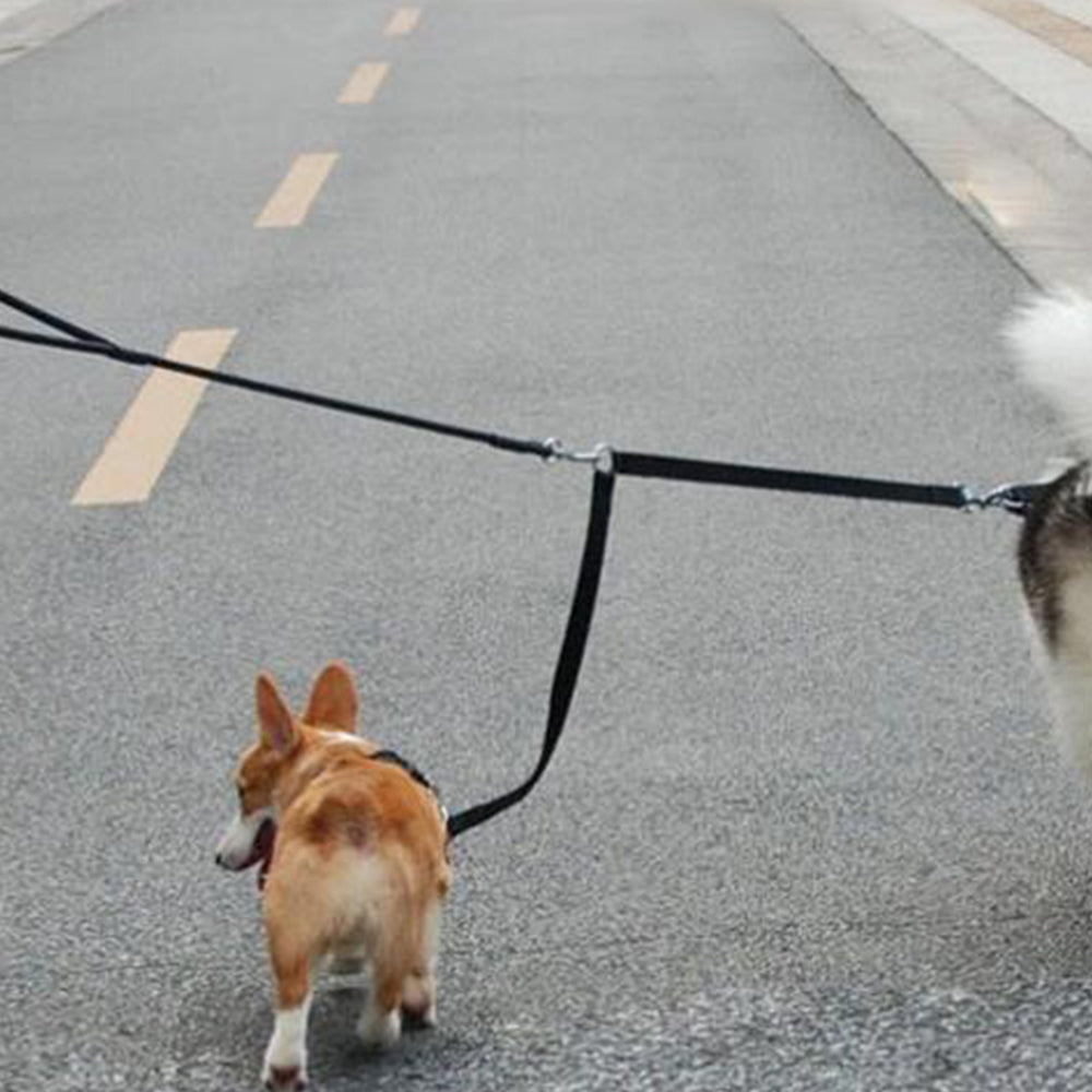 Adjustable Dual Dog Leash Lead Walk 2 Dogs with One Lead Coupler Black XL