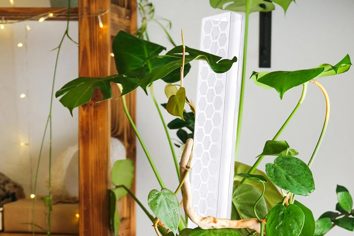 Moss Pole Plant Extension Support Tall Plant Sticks Support for Climbing Plants