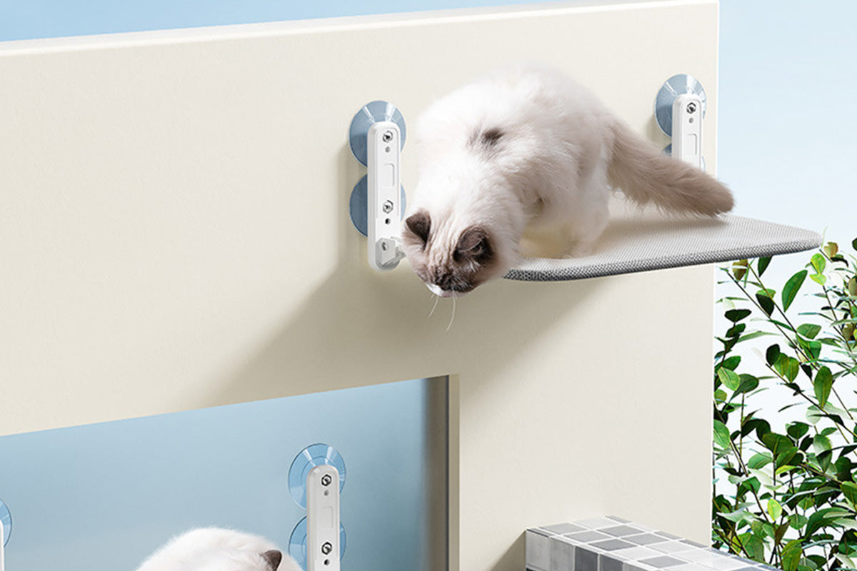 Foldable Cat Window Perch with 4 Strong Suction Cups for Balcony Indoor Cat Bed