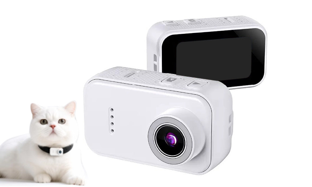 Mini 1080P Action Camera Pet POV for Sports and Outdoor Use