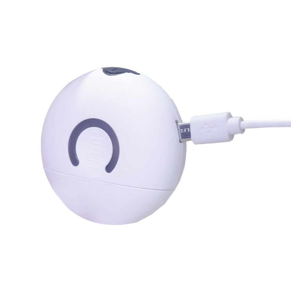 1Pc Electric Hair Essential Oil Applicator Scalp Massage Brush with 2 Modes