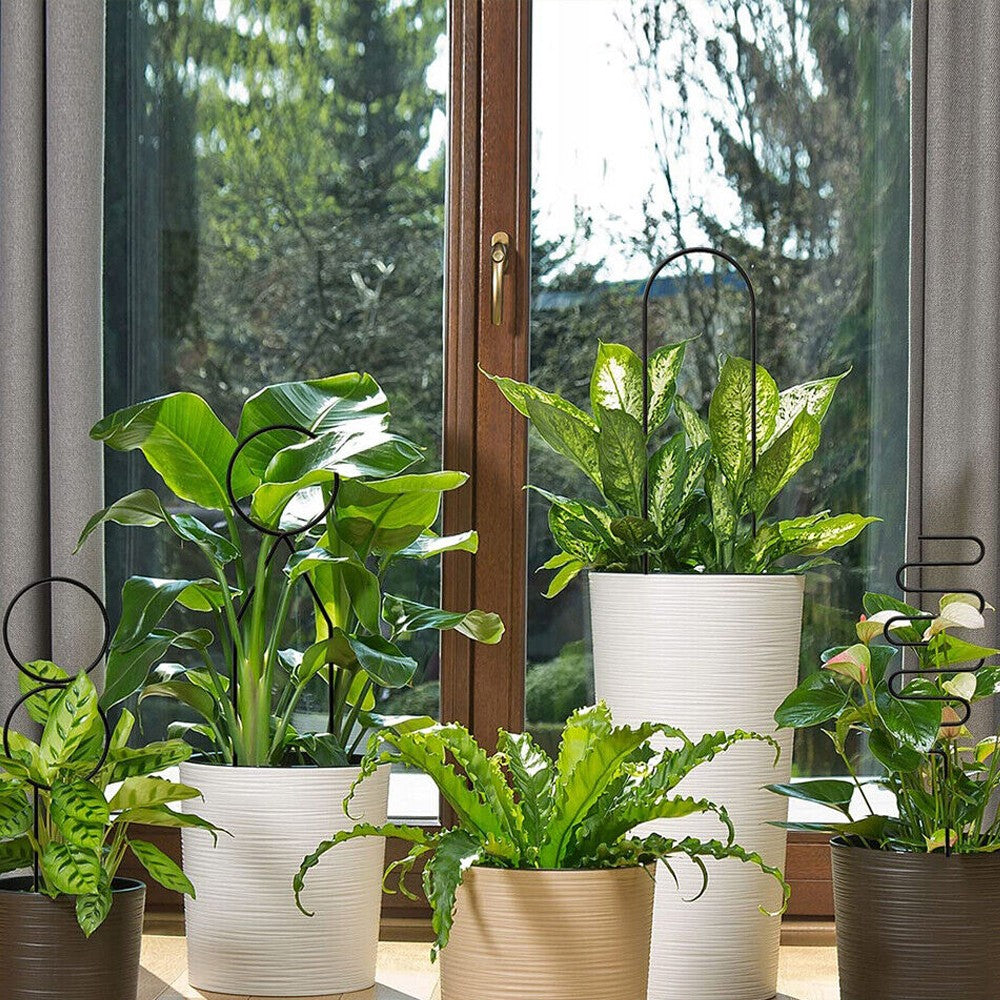 4Pcs Indoor Potted Plant Trellis Climbing Plants Support Stake - Black