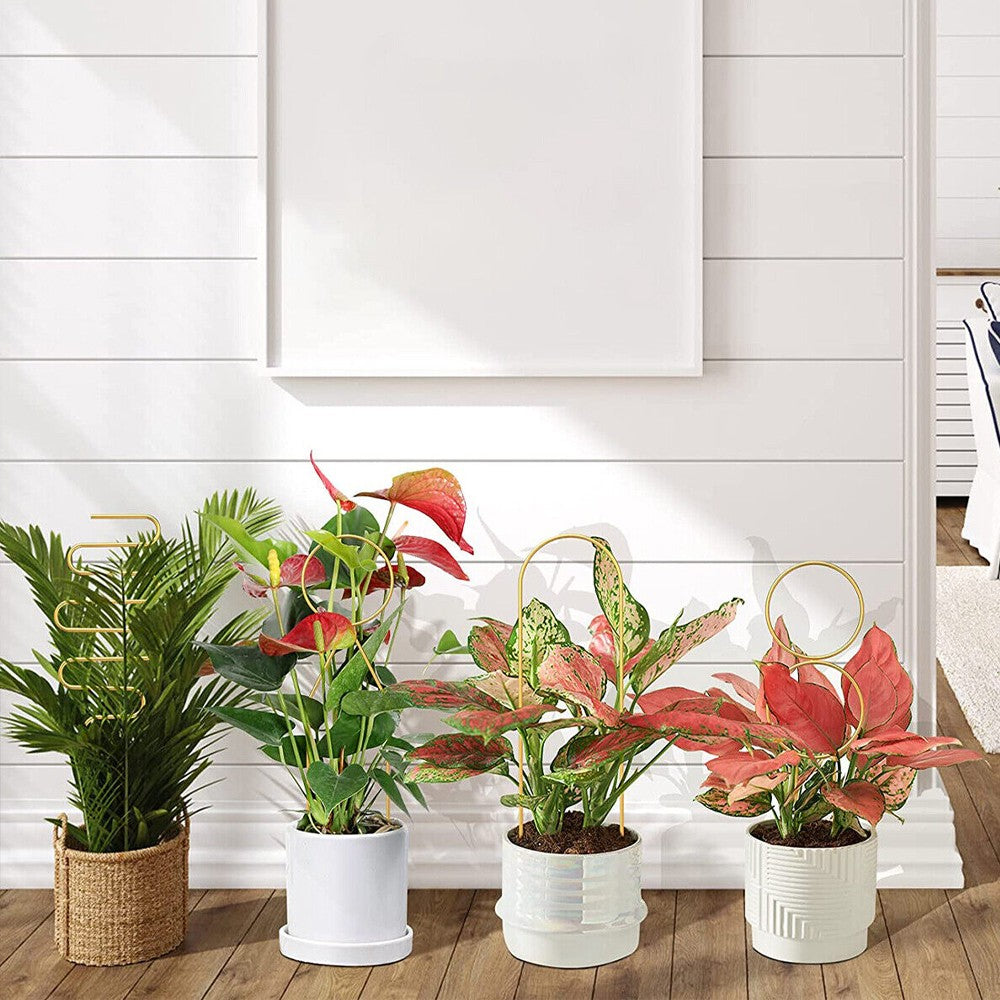 4Pcs Indoor Potted Plant Trellis Climbing Plants Support Stake - Gold