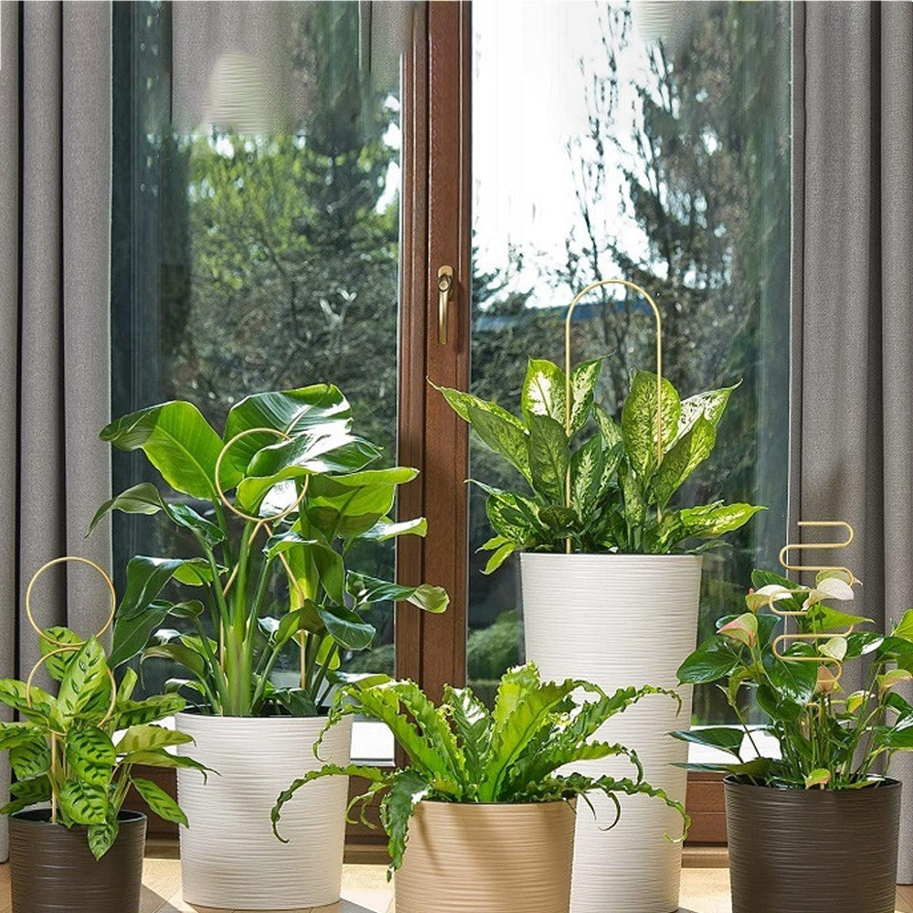 4Pcs Indoor Potted Plant Trellis Climbing Plants Support Stake - Gold