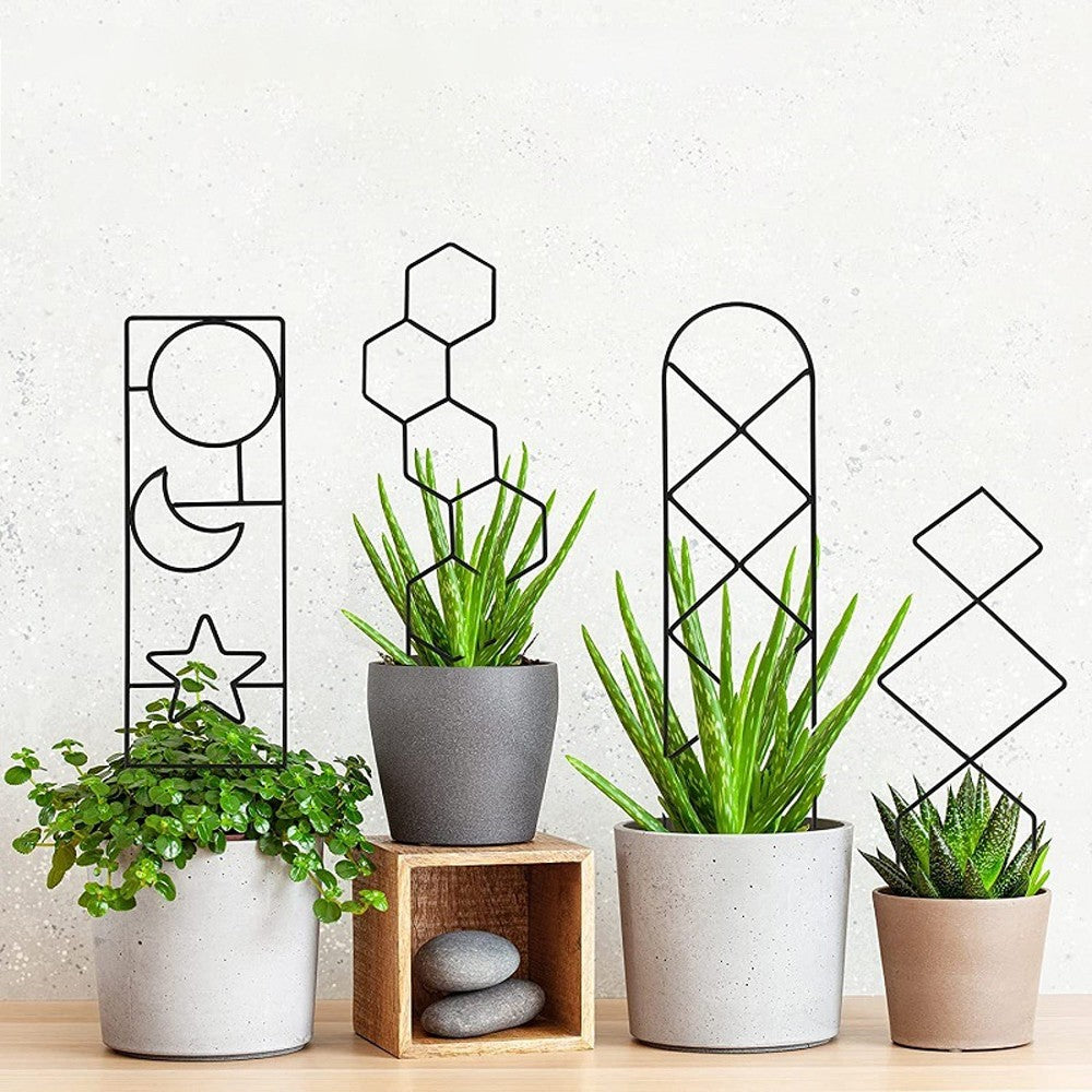 4Pcs Indoor Potted Plant Trellis Climbing Plants Support Stake - Set 1