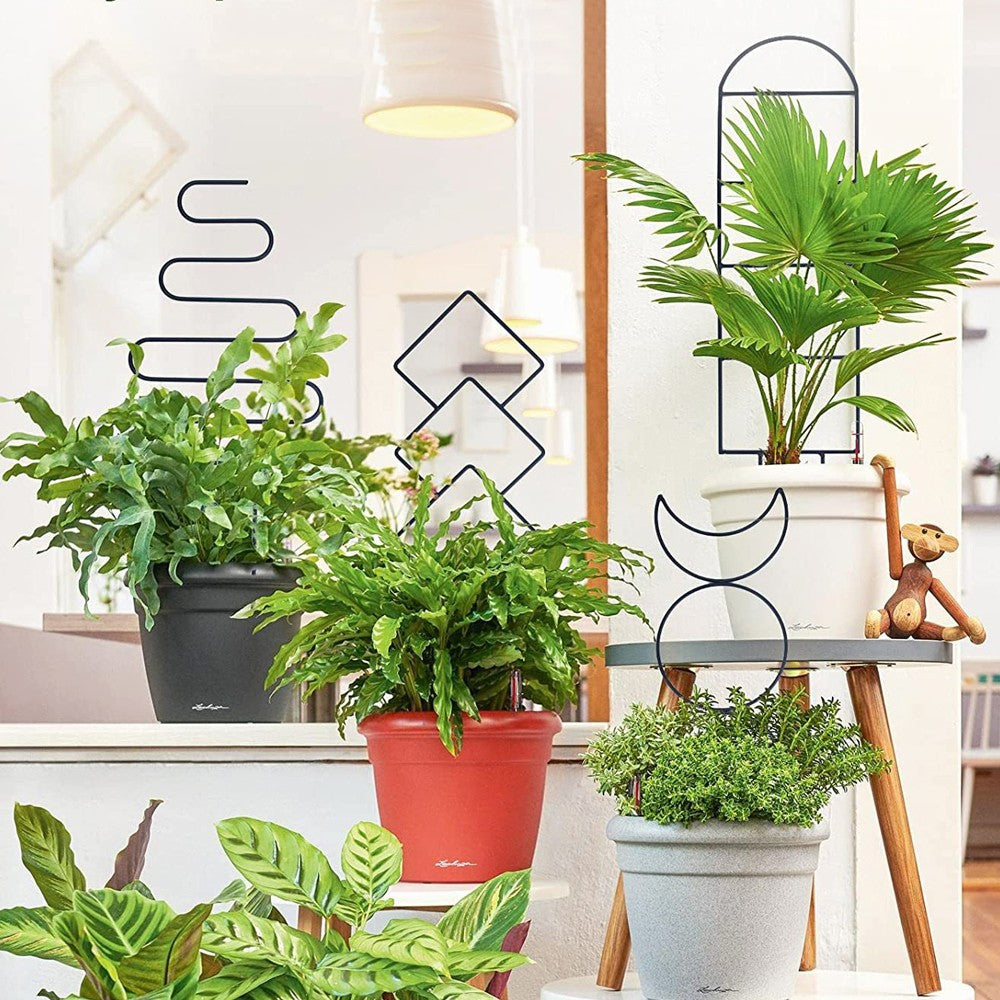 4Pcs Indoor Potted Plant Trellis Climbing Plants Support Stake - Set 2
