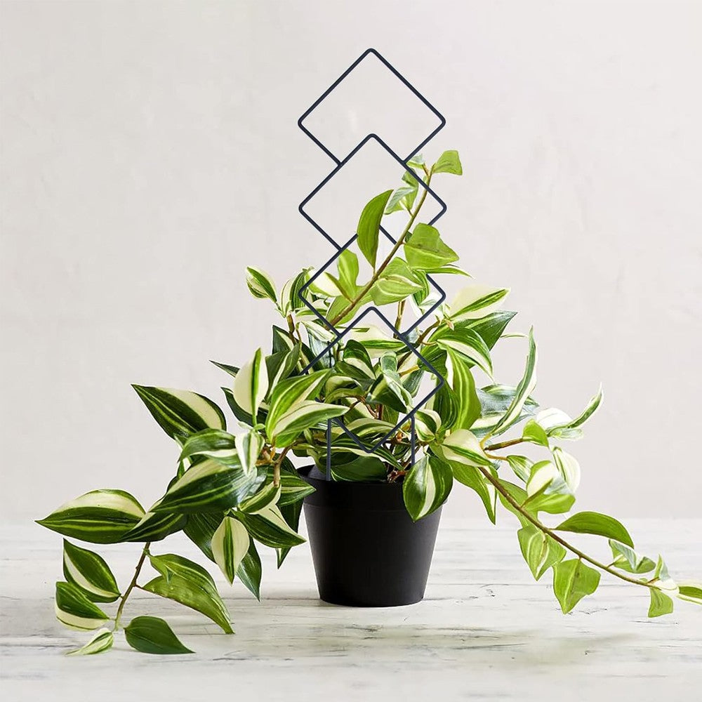 4Pcs Indoor Potted Plant Trellis Climbing Plants Support Stake - Set 2