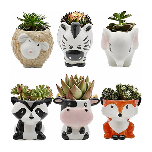 6pcs Cute Animal Shaped Plant Succulent Pots Indoor Outdoor Planter Decoration